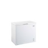 Congélateur Coffre Blanc CCO300BE 290L - FrigeluX