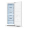 Black Upright Freezer CA250NE 247L - FrigeluX