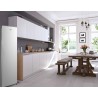 RA235XE 230L Upright Stainless Steel Look Refrigerator - FrigeluX